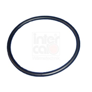 O - Ring DN100 für Kontrolldeckel